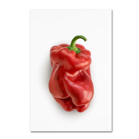 Trademark Fine Art Johanna 'Red On White' Canvas Art, 30x47 1X00890-C3047GG